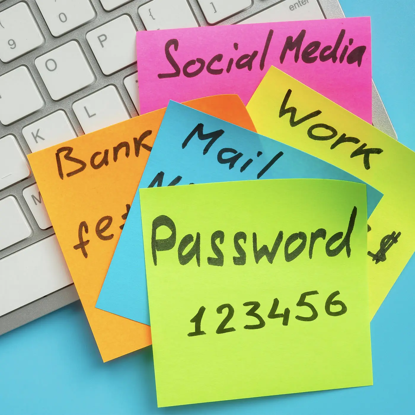 suonica blog password solida quadrata