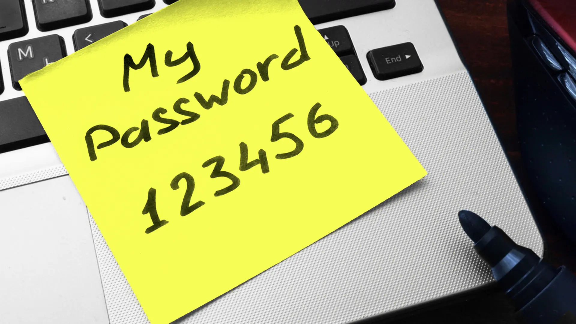 suonica blog password solida