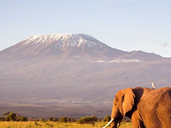 Banner blog luca scaled uai 1210x1210