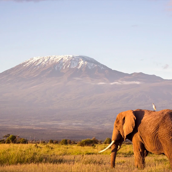 Banner blog luca scaled uai 1210x1210